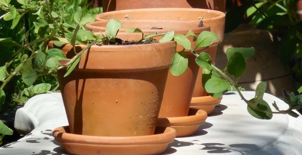 Terracotta Clay Pots